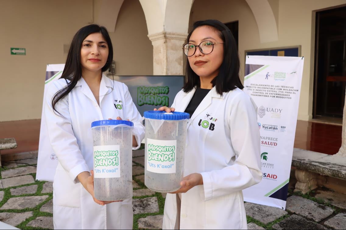 Carreras veterinarias en la UADY se saturan; recibirán a 520 estudiantes este 2025