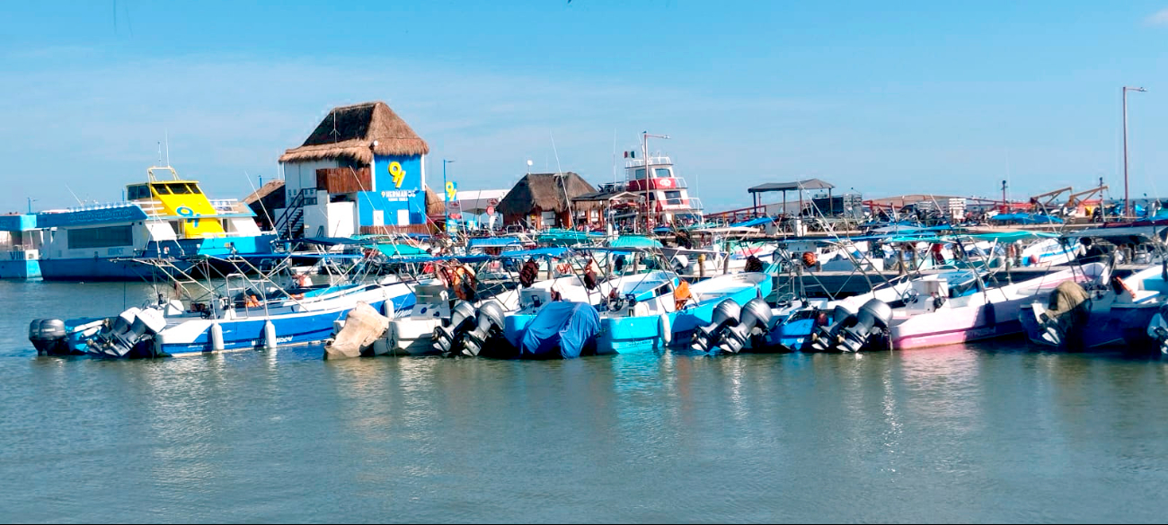 Surada y llegada de sargazo afectan actividades en Playa del Carmen