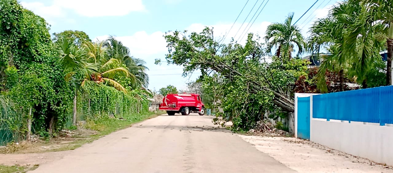 Vientos de hasta 50 km/h en Lázaro Cárdenas afectaron la navegación, derribaron árboles y ocasionaron apagones menores