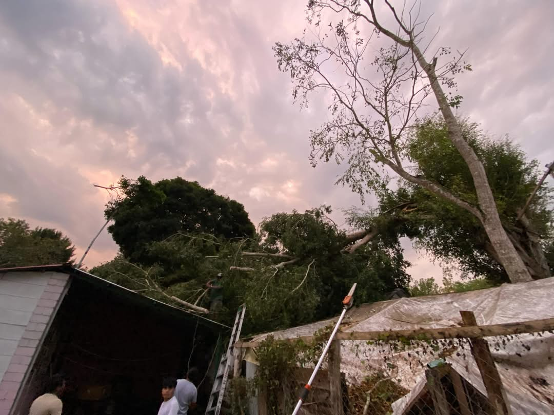 Afectaciones por tromba en Calakmul.