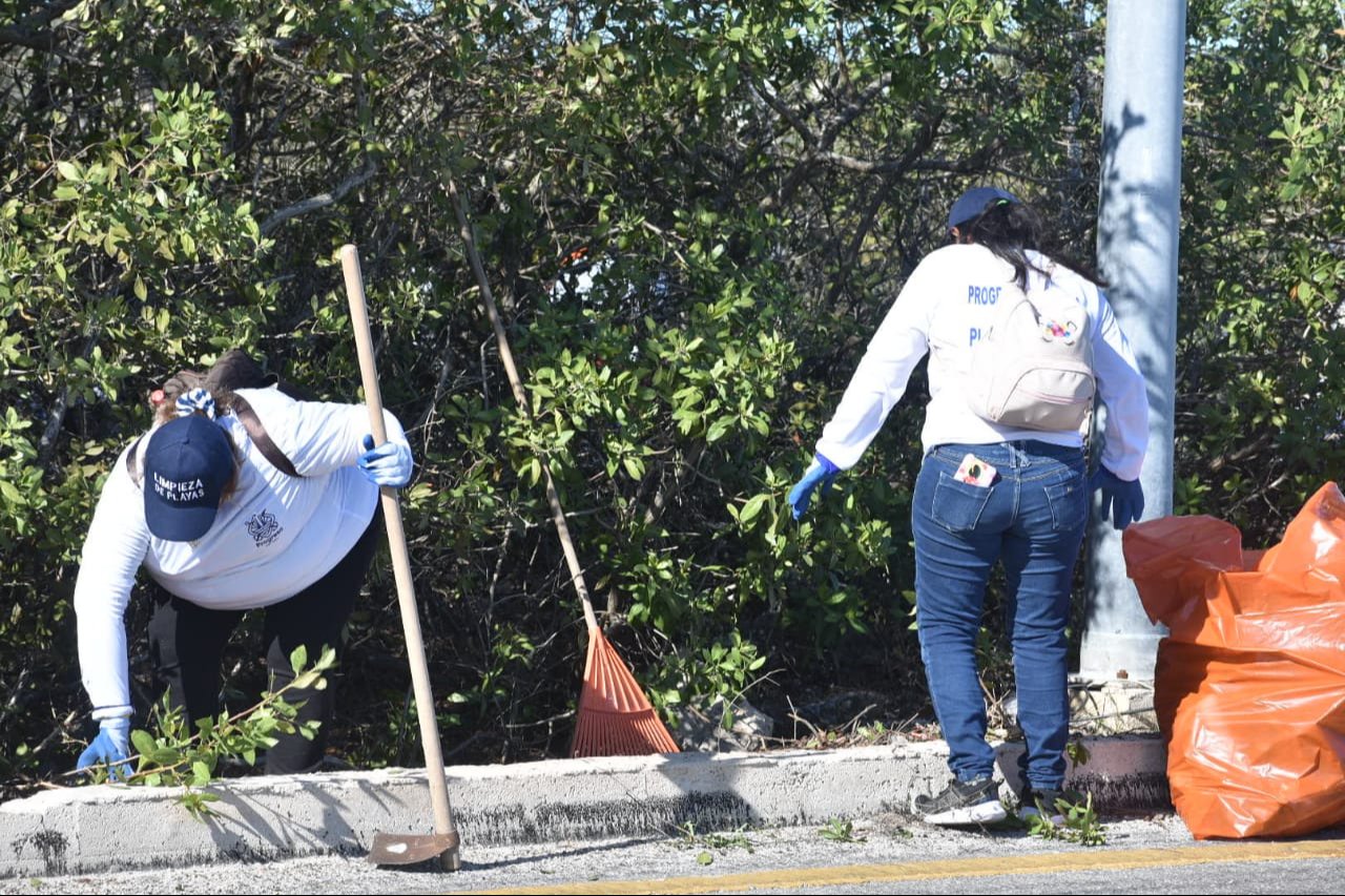 Cada vez hay mayor conciencia entre la población para evitar que la basura sea tirada al aire libre