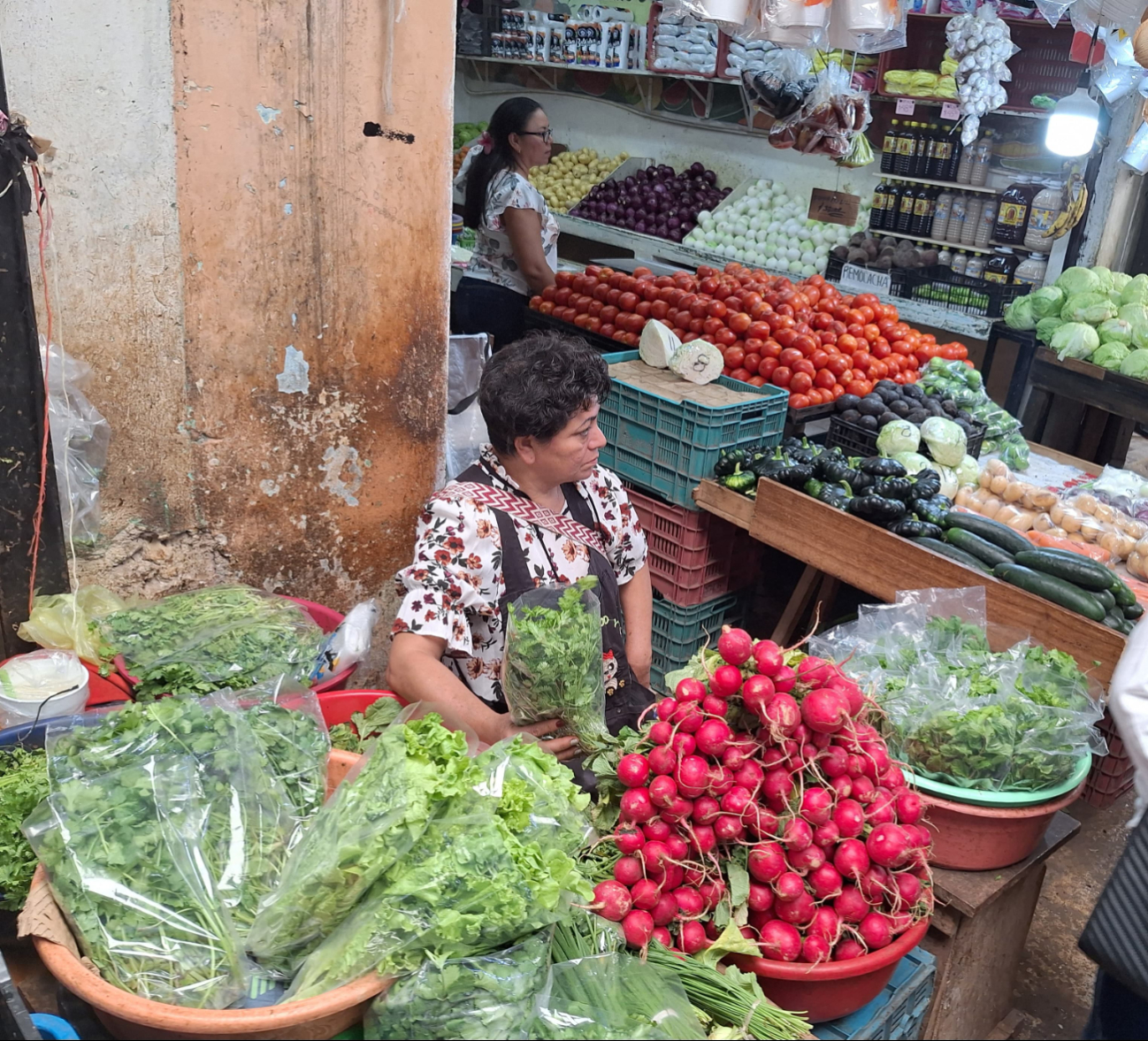 Canaco prevé un incremento de 15 por ciento en ventas durante la época de vacaciones de primavera