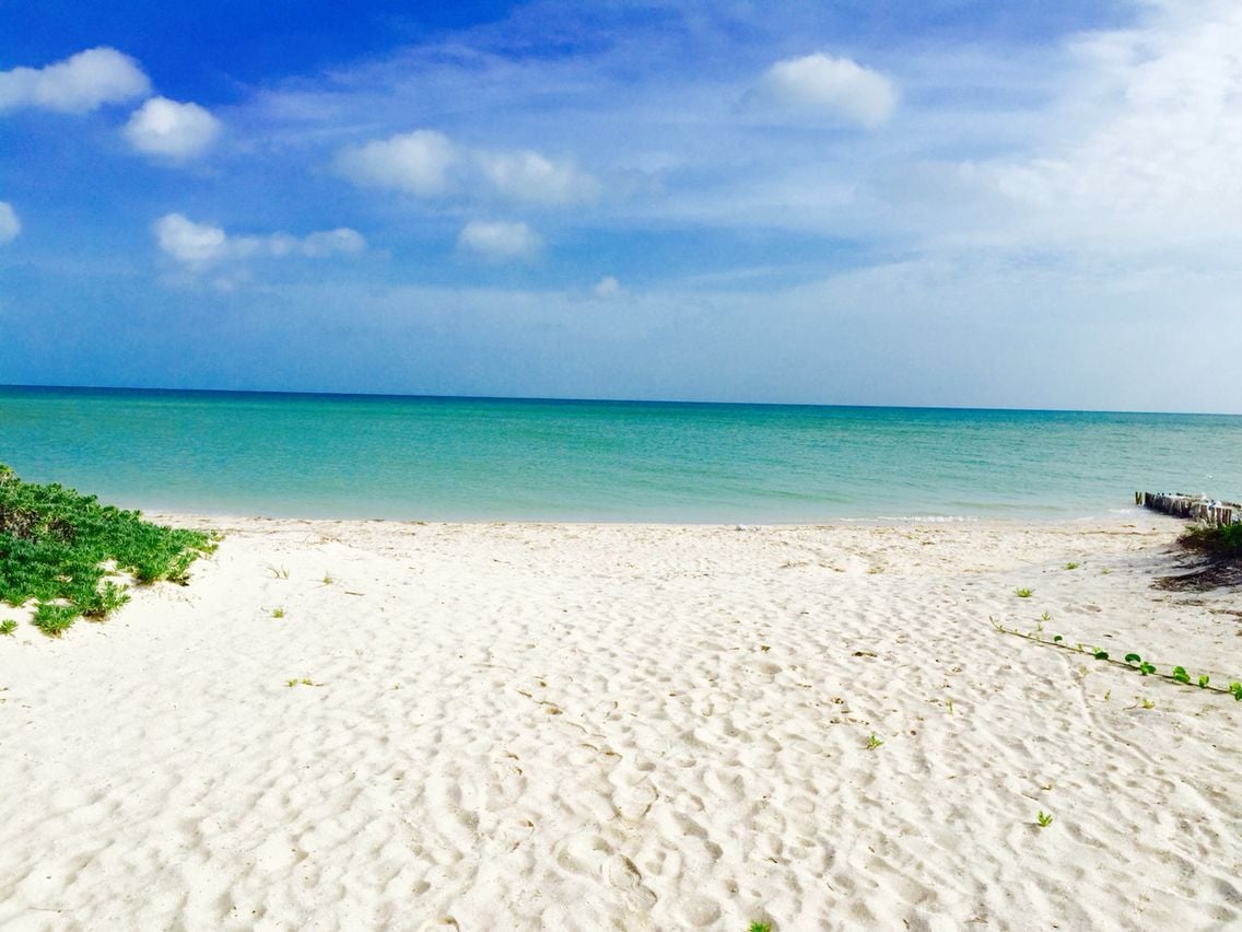 Las playas de Yucatán tienen gran importancia ambiental