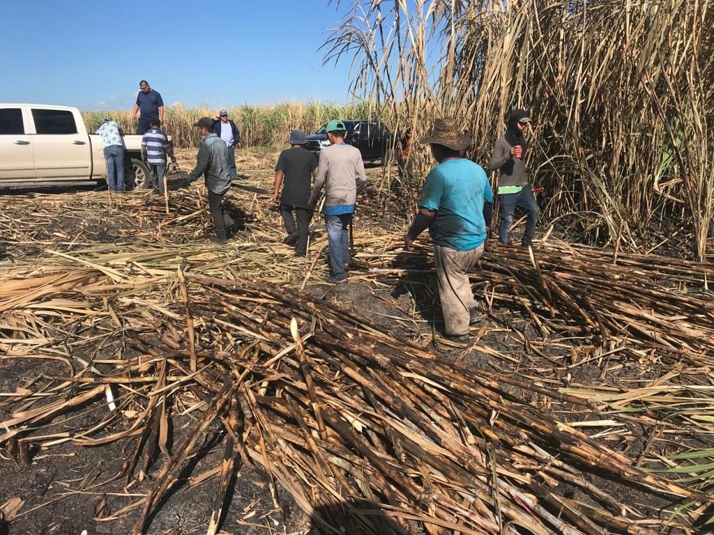 Productores afirmaron que la  salida de azúcar seguirá en pausa hasta tener nuevas indicaciones de las dirigencias nacionales