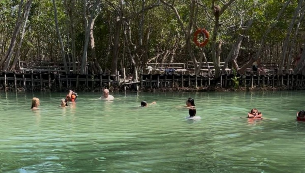 Los cenotes de Yucatán tienen horarios específicos para sus visitas