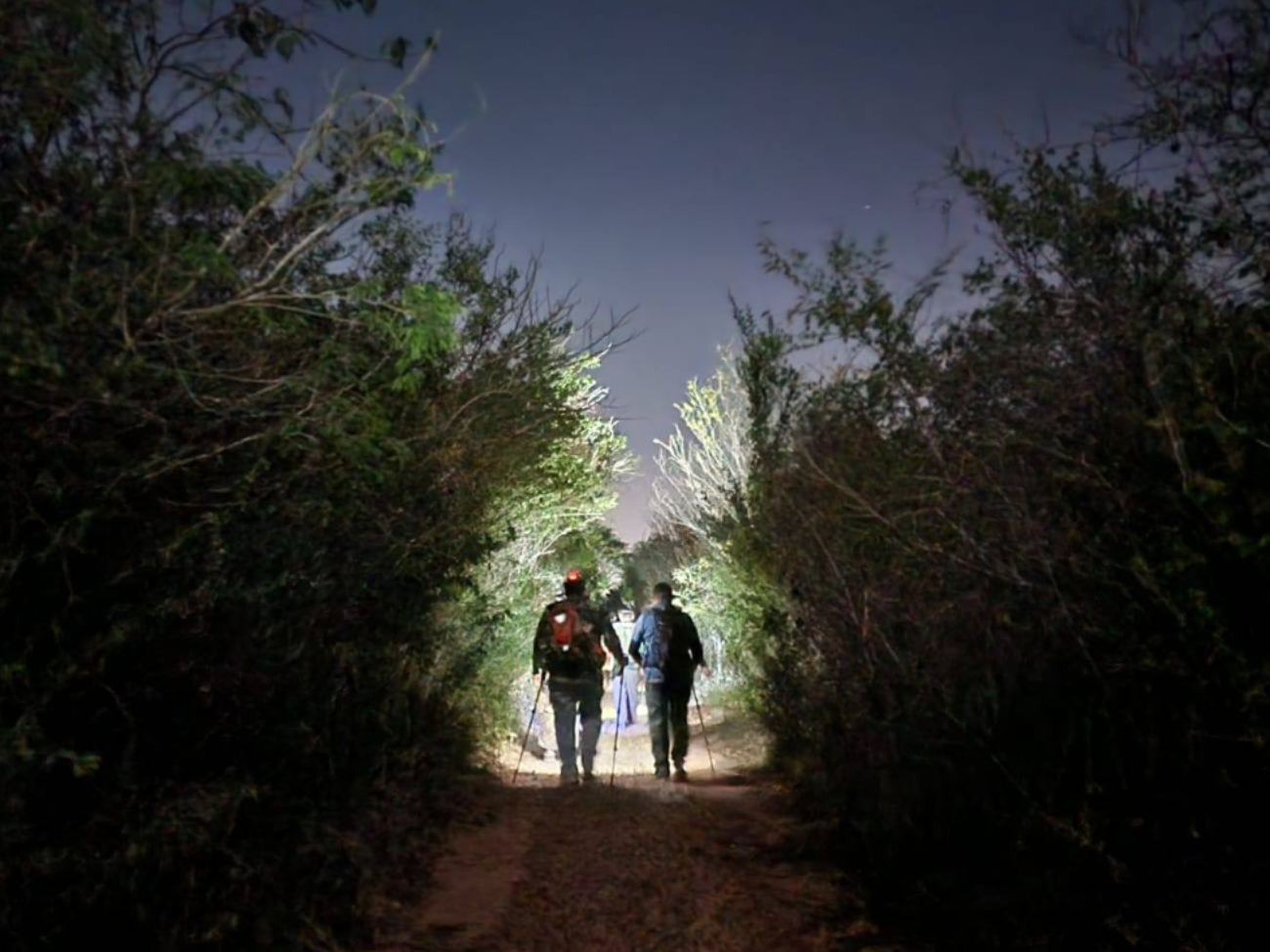 El senderismo nocturno es una actividad que se ha popularizado en Yucatán