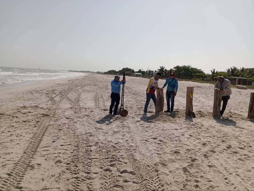 Bloquean acceso a parte de Playa Norte de Campeche por Temporada de Anidación 2025 