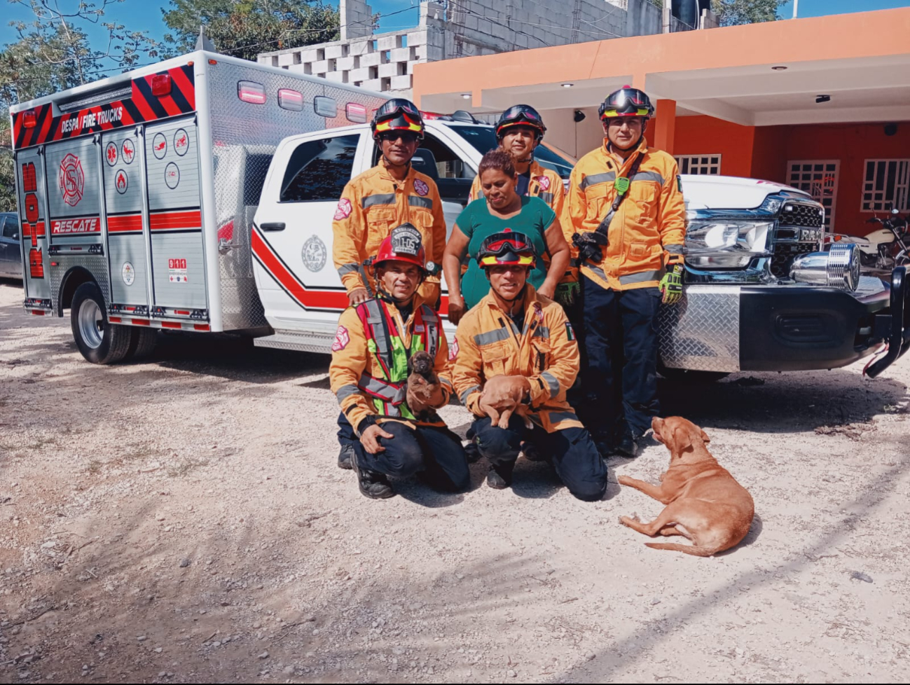 Pese al arduo labor del Cuerpo de Bomberos, solo se lograron rescatar dos de los cinco cachorros