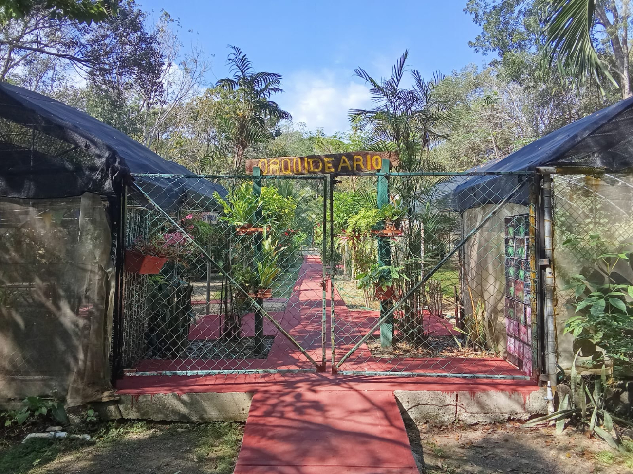 La supuesta remodelación no es evidente en las instalaciones del zoológico.