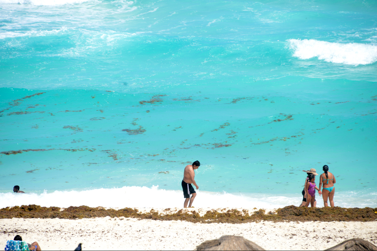 Recolectan más de 800 toneladas de sargazo en playas de Cancún