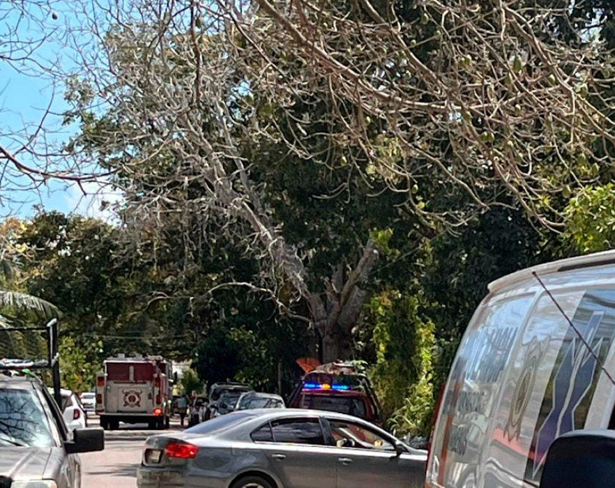 El ataque fue derivado de los movimientos de albañiles de la zona.