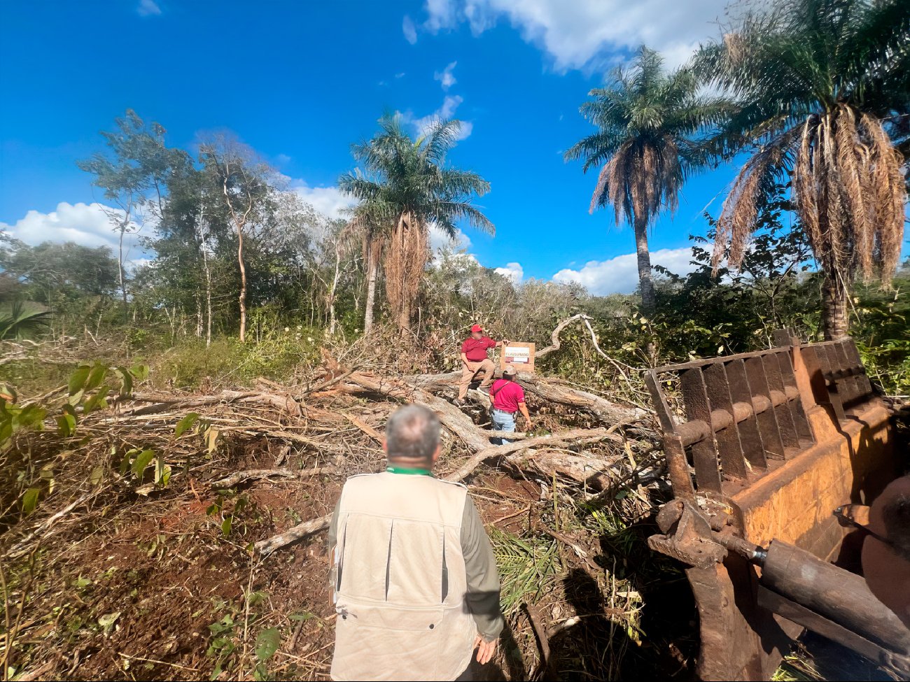 La Profepa clausuró las obras y aseguró la maquinaria usada para la deforestación