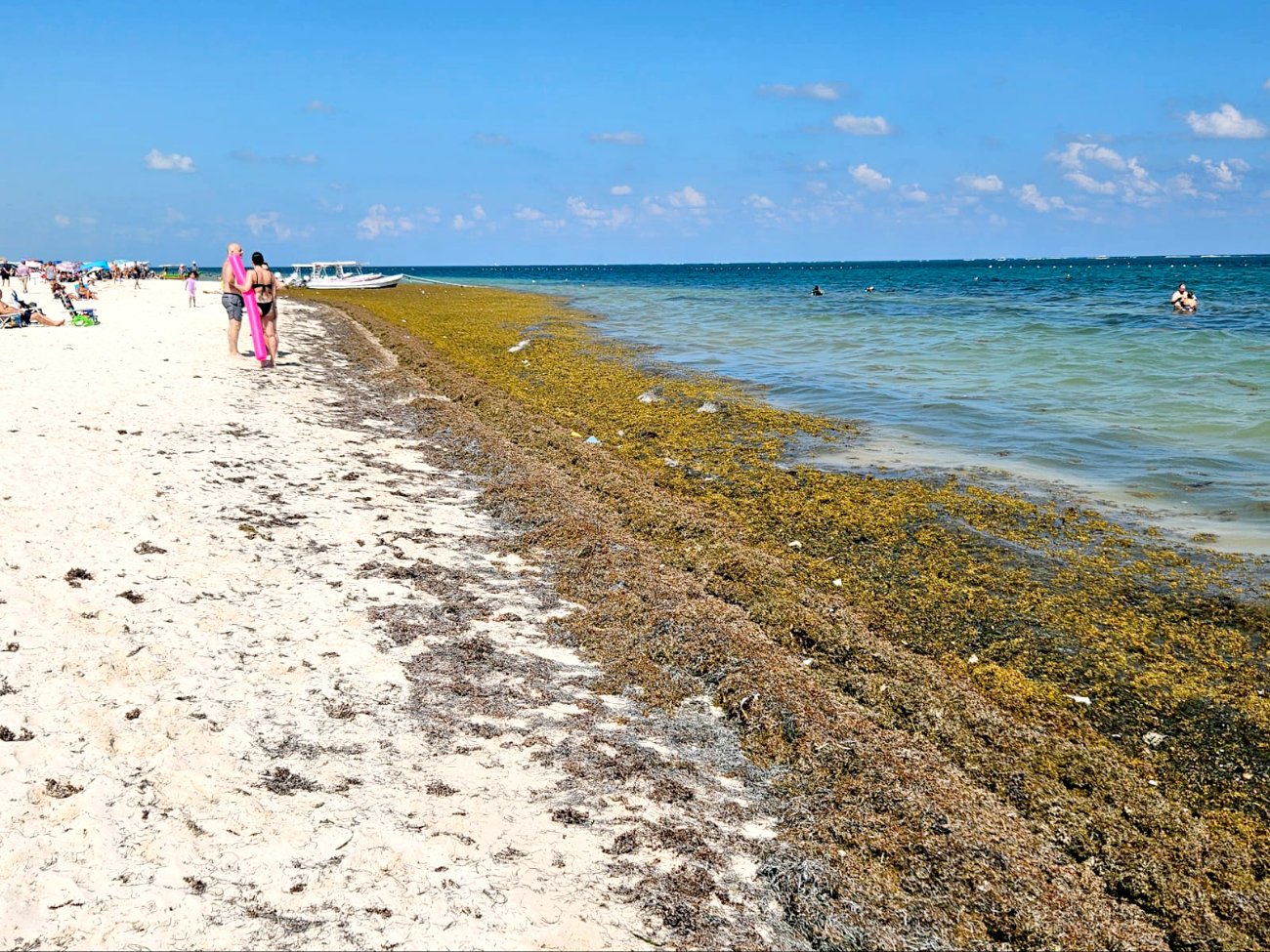 A pesar del aumento de la macroalga, las actividades para vacacionistas continúan, aunque con precauciones adicionales