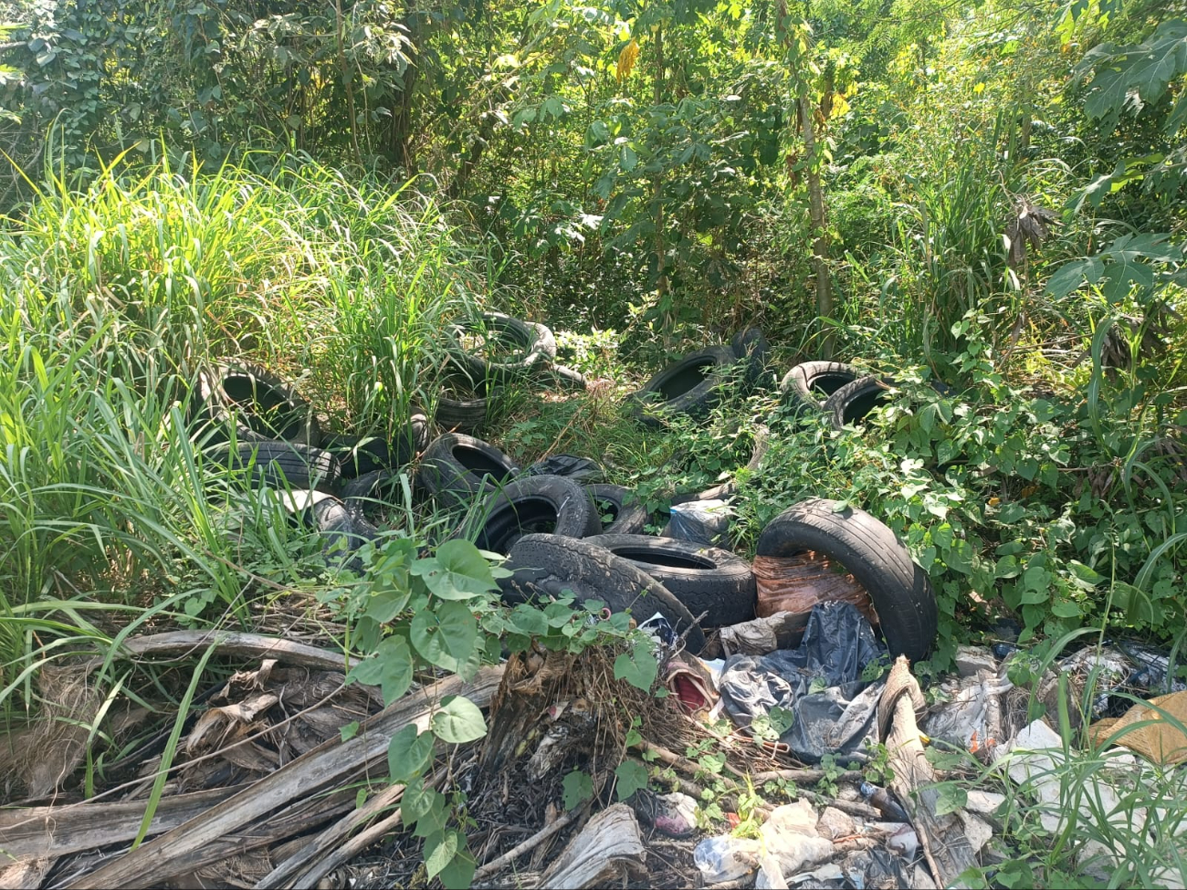 La acumulación de basura afecta la salude de los habitantes