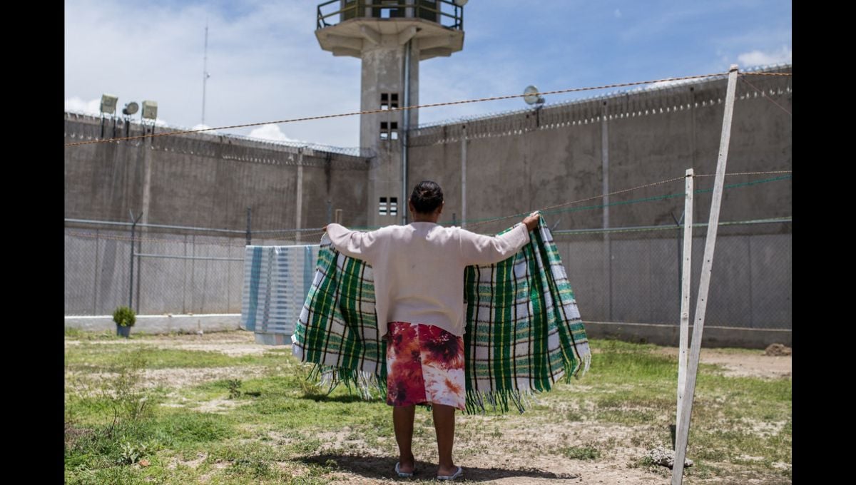 Los datos reflejan que la violencia contra la mujer sigue siendo un problema estructural en México