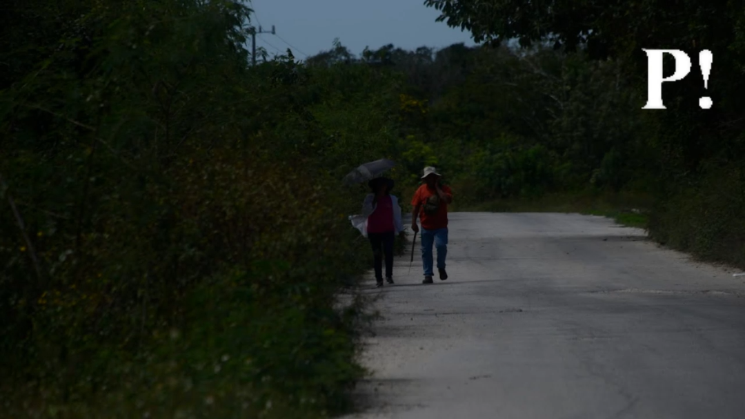 Mejorar el acceso del transporte ayudaría a la calidad de vida de los habitantes