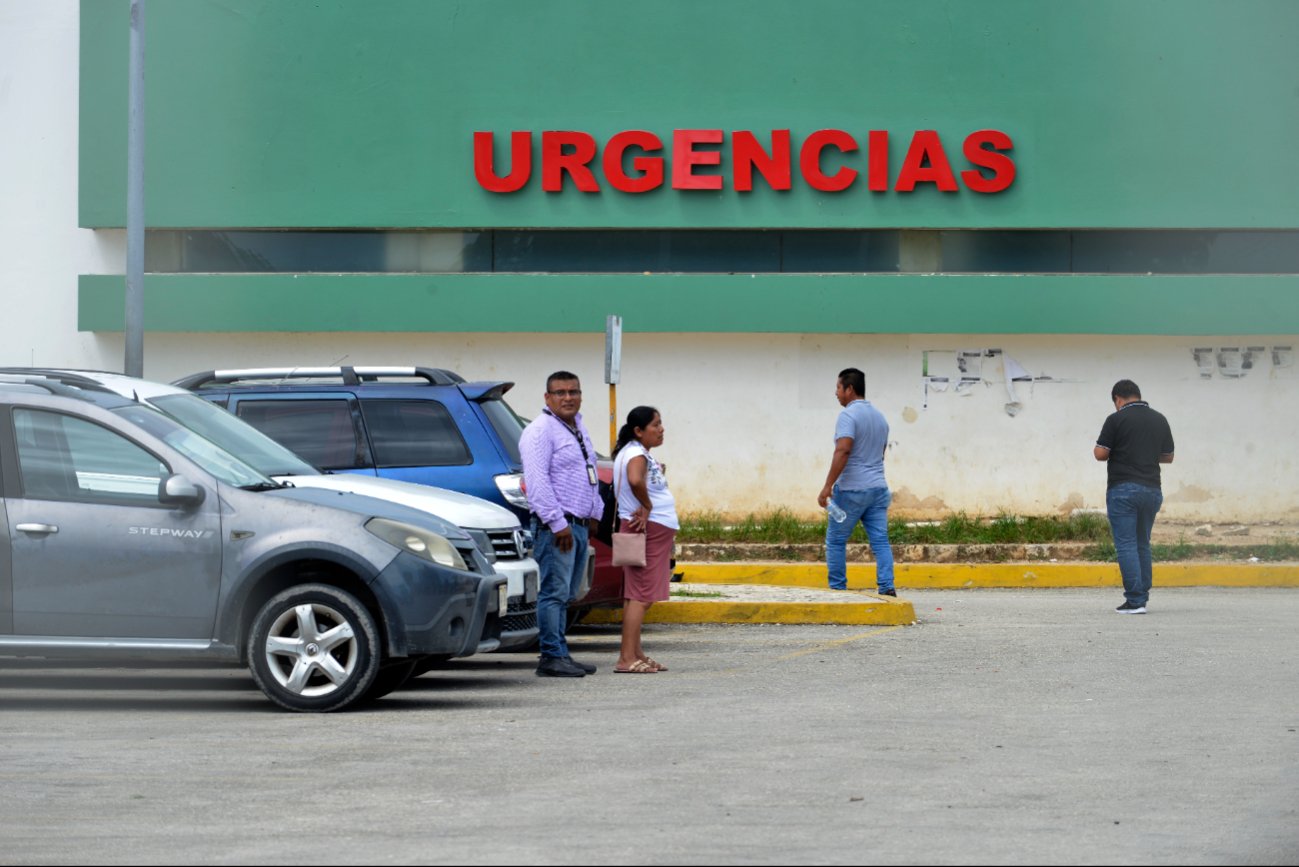 Si la enfermedad es bacteriana, el tratamiento incluye antibióticos, desinflamatorios y mantener hidratado al paciente