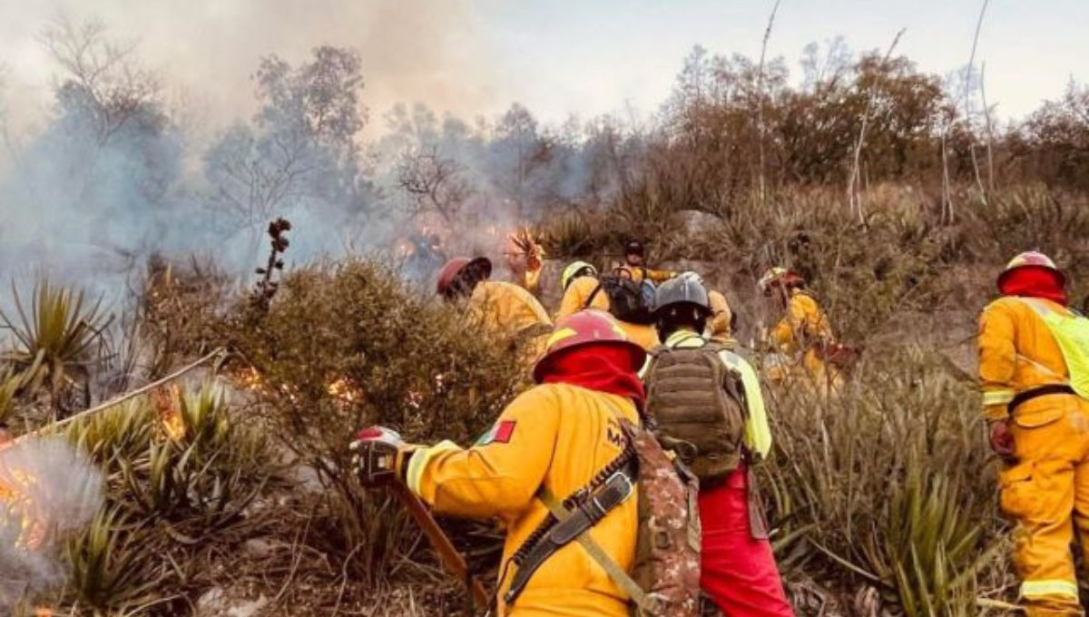 Incendio en el Cerro del Topo Chico: Protección Civil de Nuevo León intensifica labores de combate