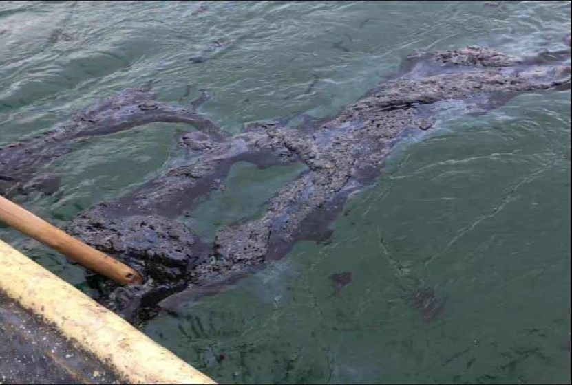 Expertos de PEMEX atribuyen  las fugas de crudo en la Sonda de Campeche con sismos