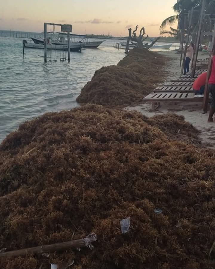 Se ha contratado personal para la limpieza de las playas