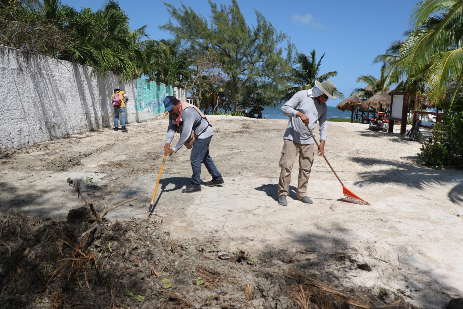 Fueron más de 150 palapas las que se perdieron en las siete playas de Cancún. Foto: Jorge Delgado
