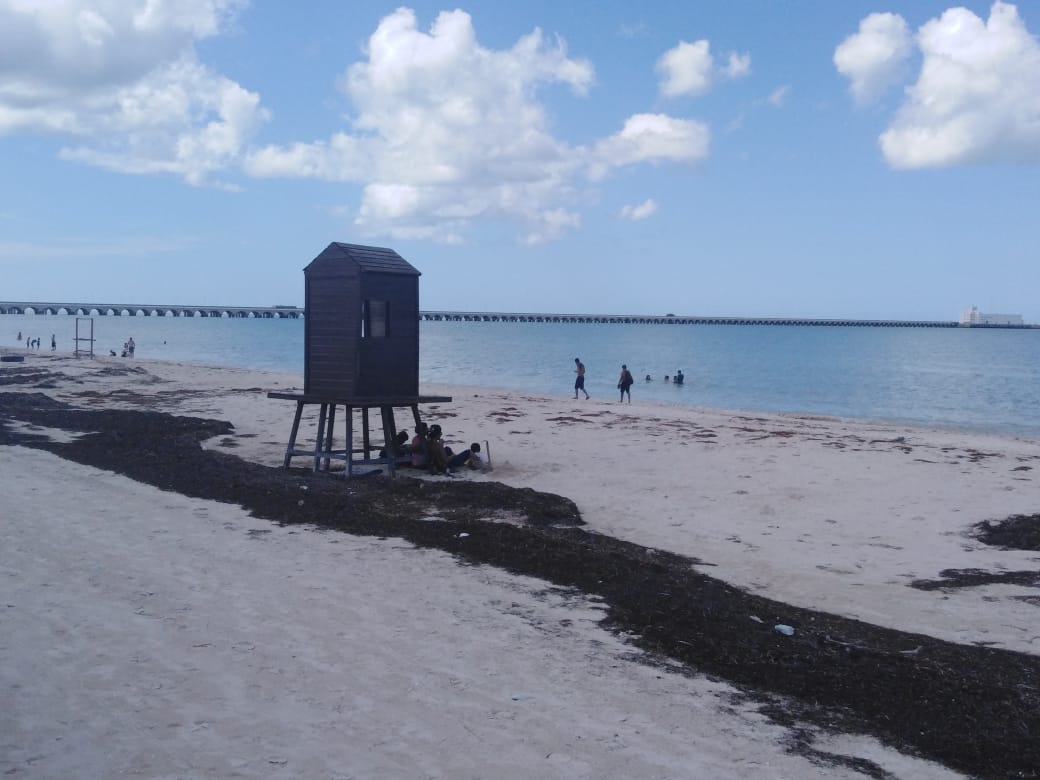 Bañistas disfrutan las playas de Progreso sin importar el sargazo y el COVID-19