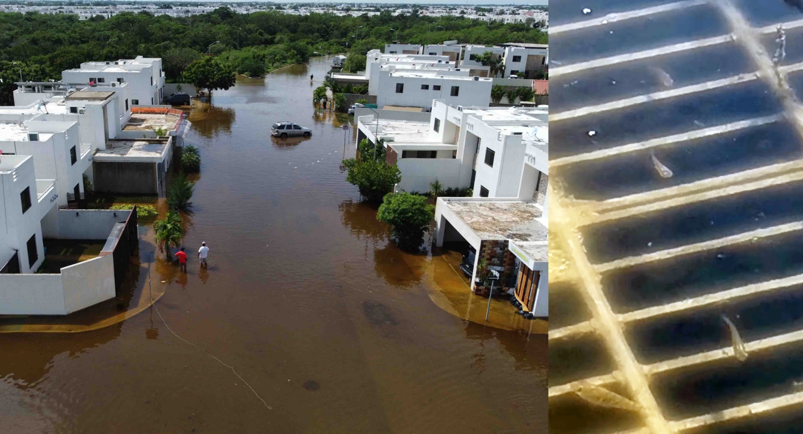 Peces nadan en calles del fraccionamiento Las Américas en Mérida: VIDEO