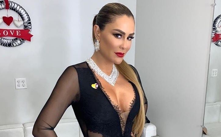 Ninel Conde se despide de los escenarios