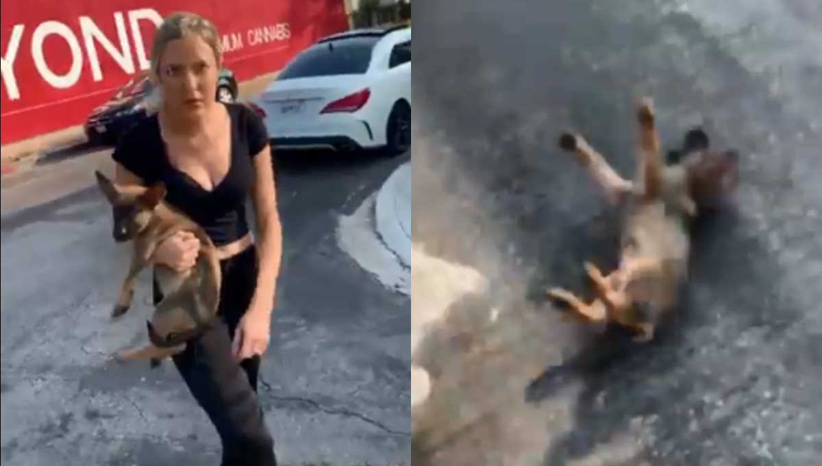 Mujer lanza insultos racistas contra un rapero y agrede a un perrito (VIDEO)