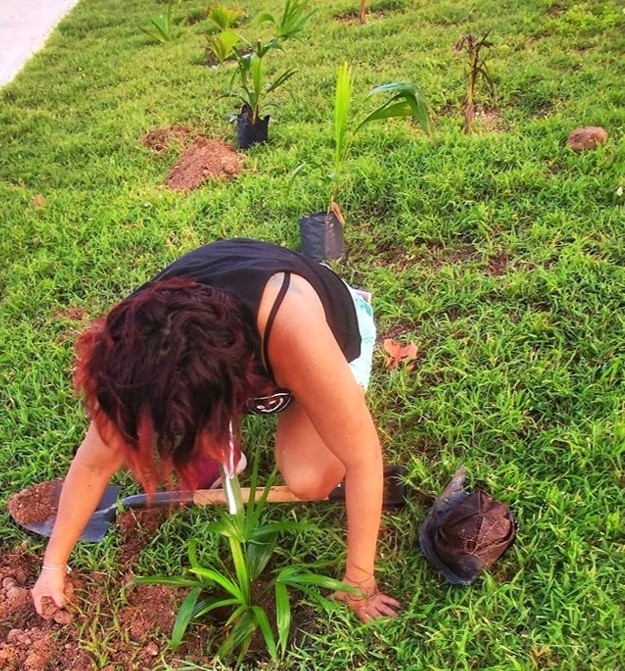 Trabajadores del sector turístico se unen a campaña de reforestación en Isla Mujeres