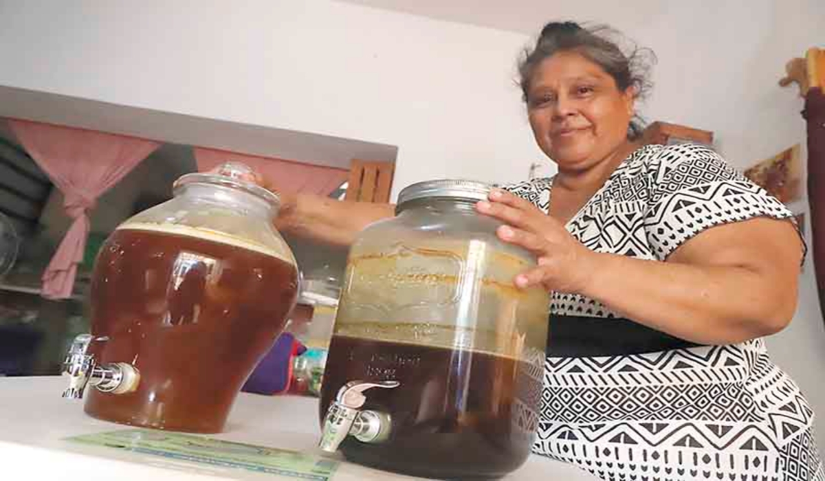 Además de proteger a las “abejas sagradas mayas”, Chalé Euán se dedica a la medicina tradicional. Fotos Martín Zetina.