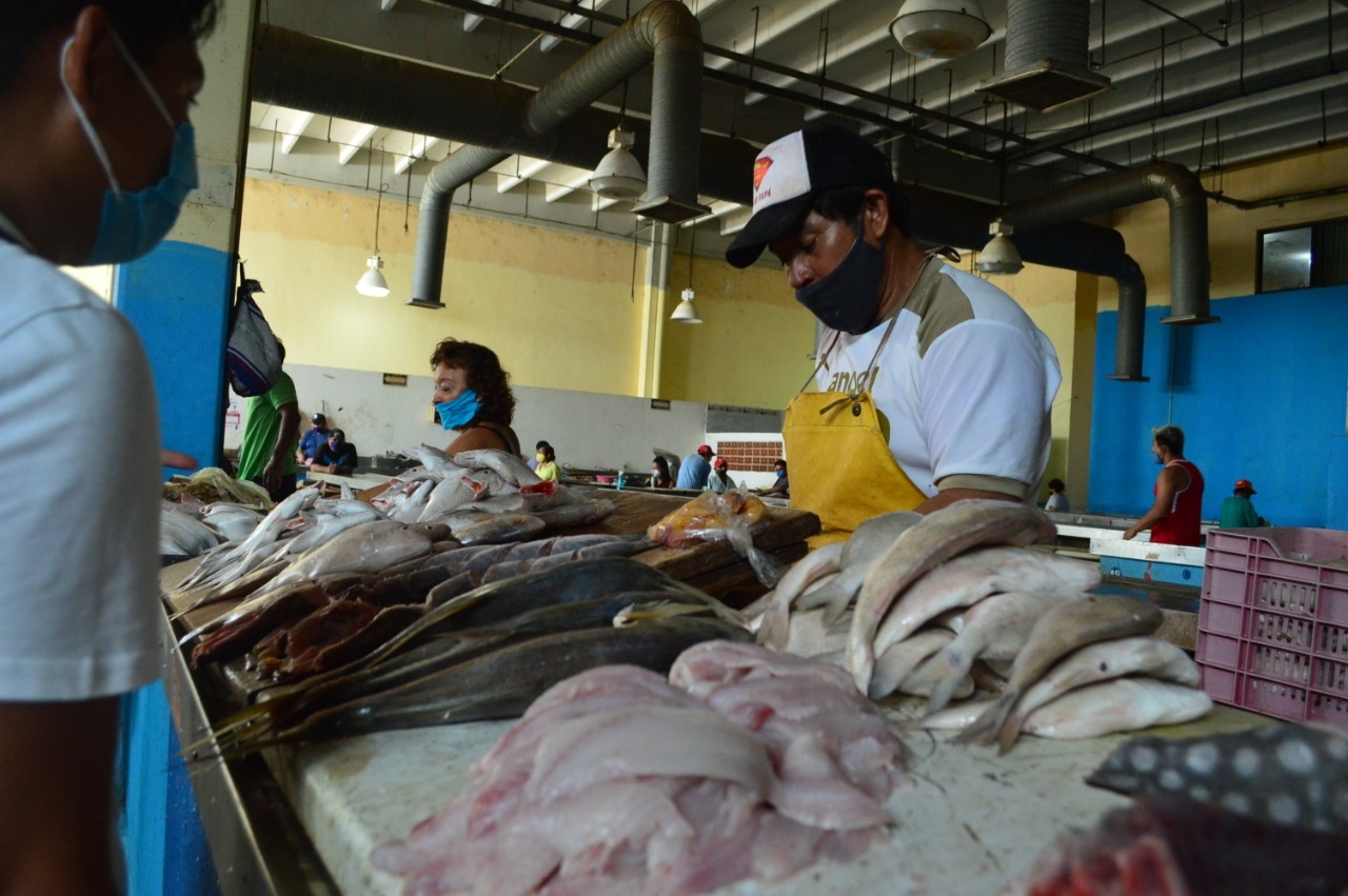 Pesquerías de Campeche rebasan los 548 mdp en producción de especies