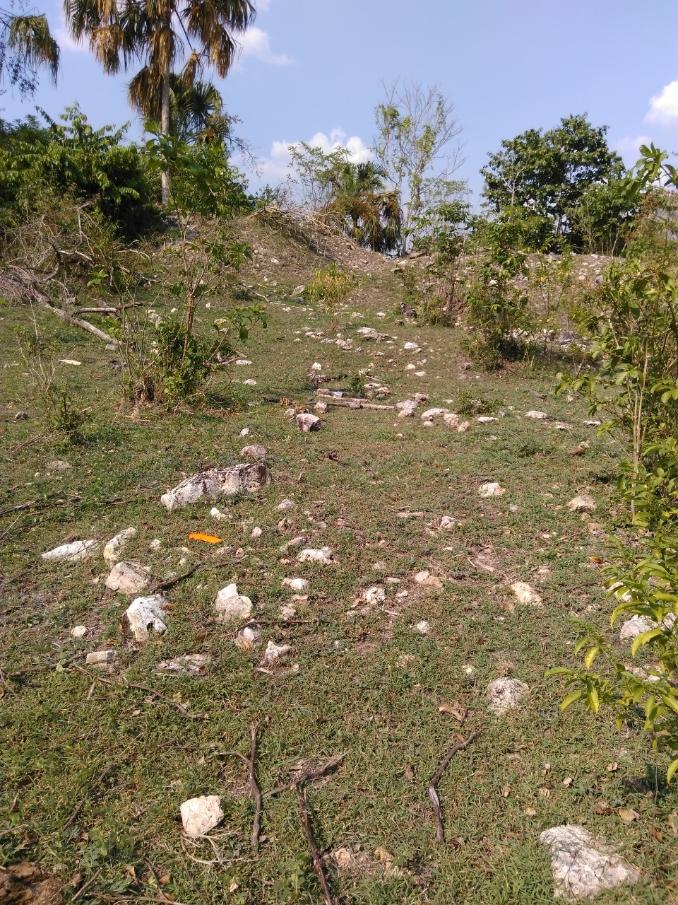 Expertos del INAH supervisarán obras por Tren Maya