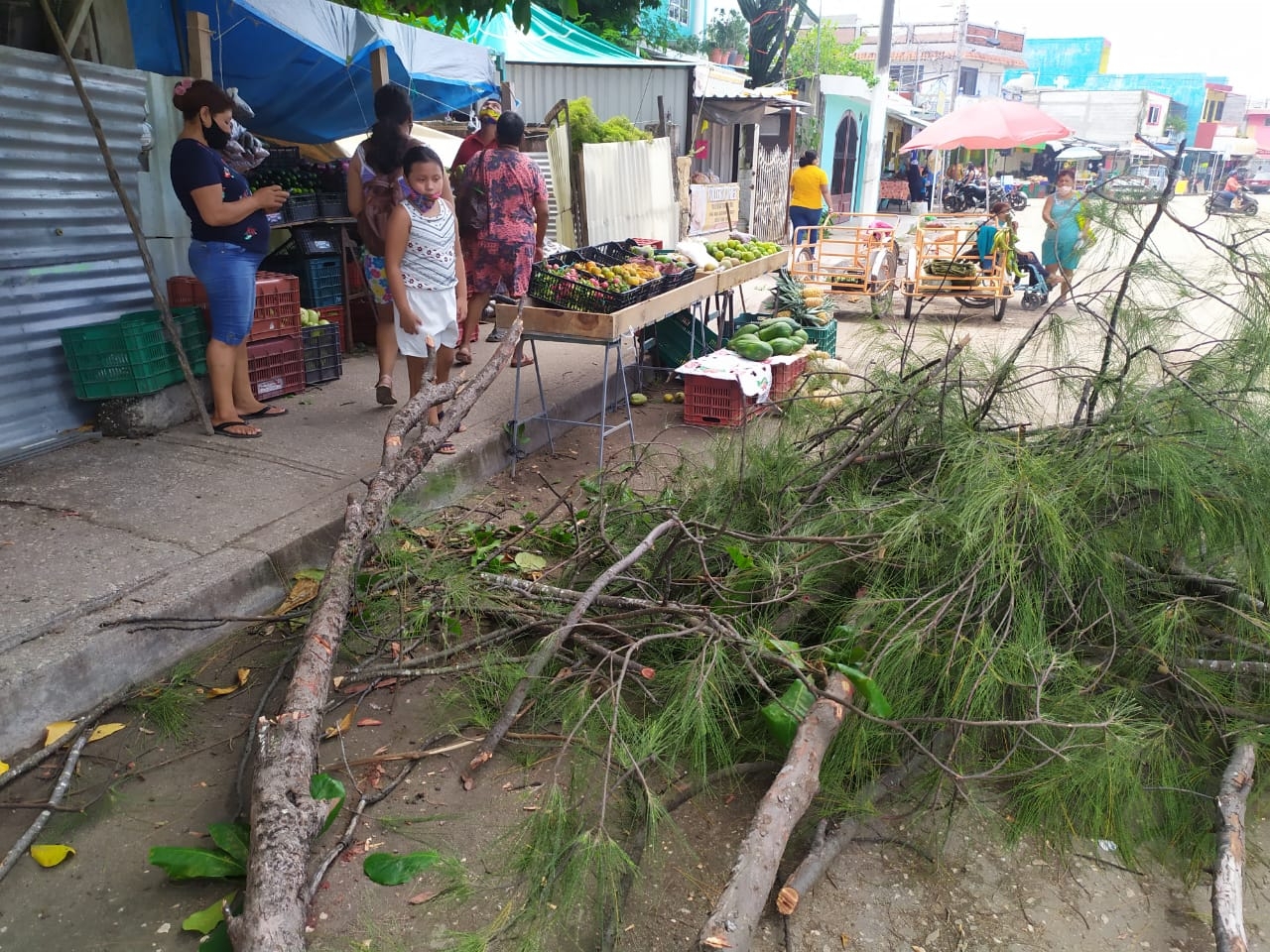 Ramas caídas provocan daños en un puesto del mercado de Chechén