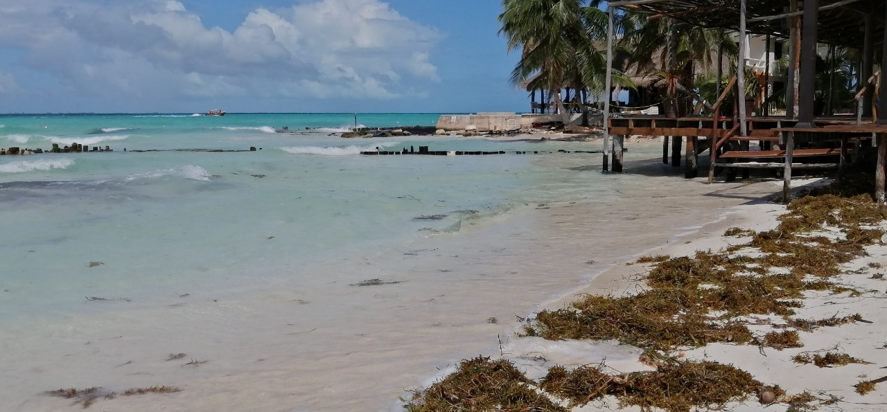 Estas son las playas más limpias de sargazo en Quintana Roo este 29 de junio