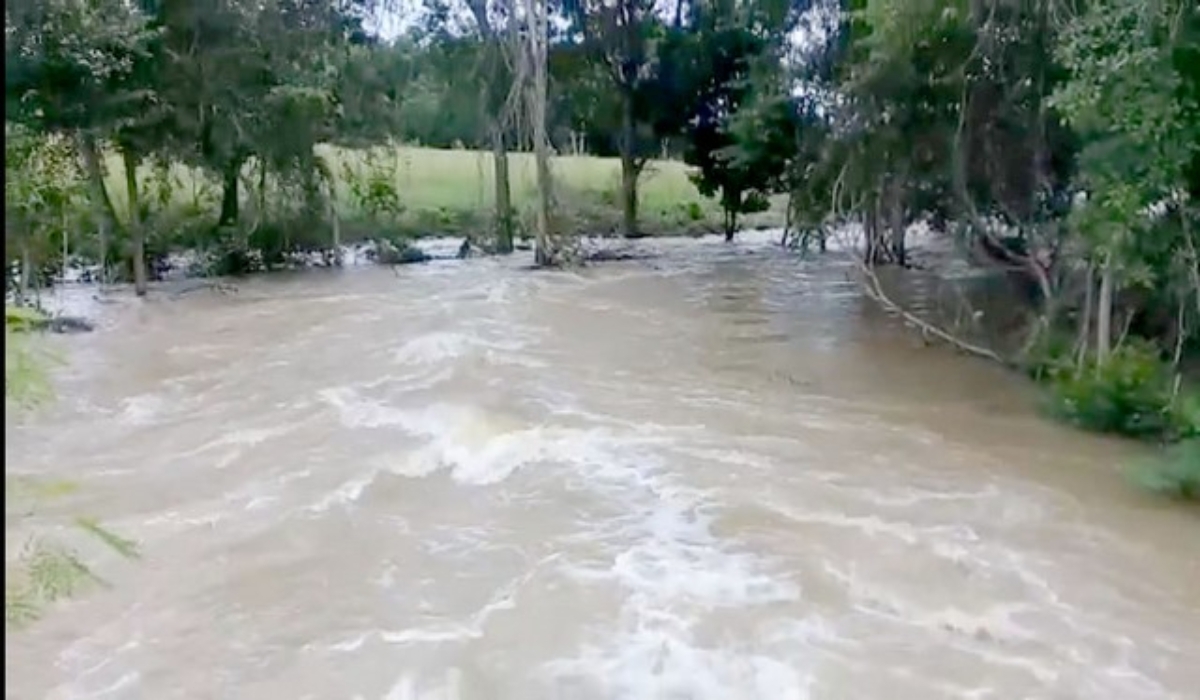 Las inundaciones afectan a habitantes y cultivos de maíz. Foto: Jorge Caamal.