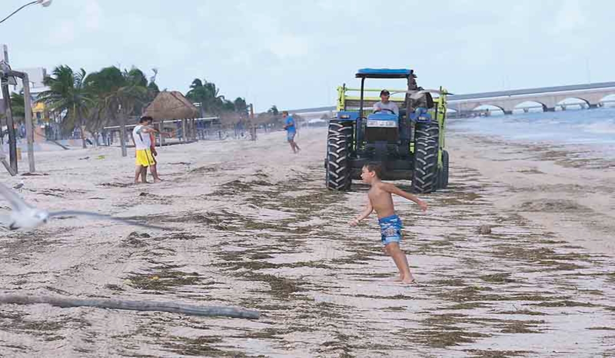 Pese a que no hay aviso de reapertura, Progreso recibe turistas locales y extranjeros