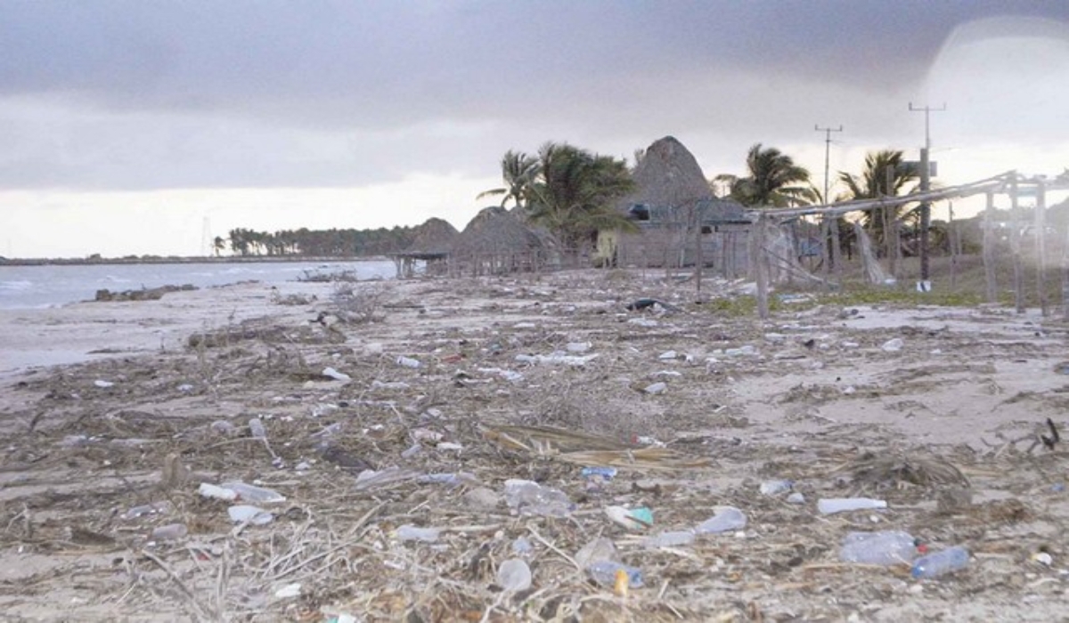 Visitantes y restauranteros piden limpieza de playas en Sabancuy