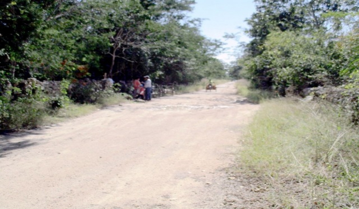 Pobladores consideran que el municipio es ruta para el tráfico de especies marinas. Foto: Jorge Aké.