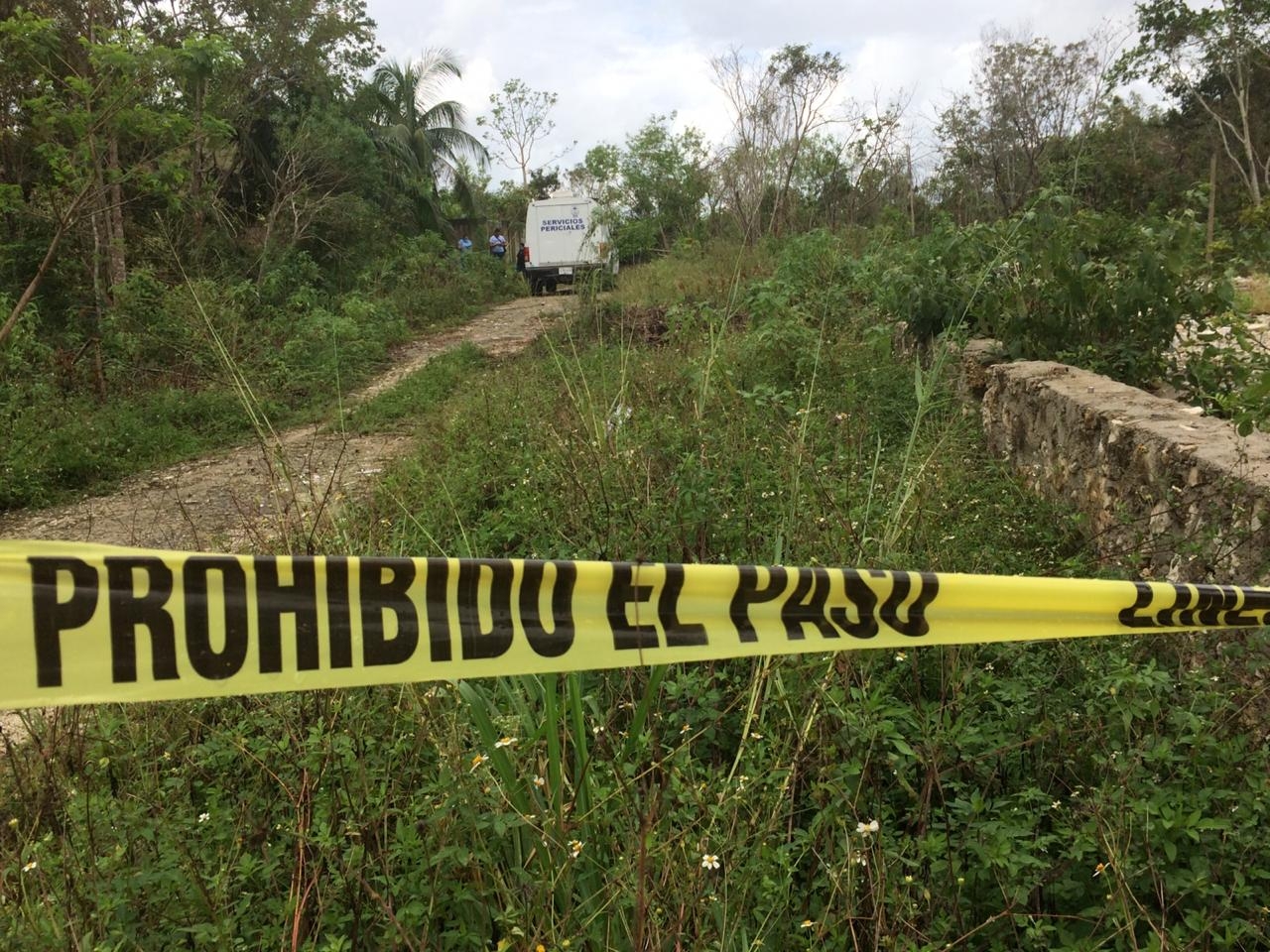 El macabro hallazgo lo realizó una persona que iba a buscar leña en el lugar en un terreno baldío. Foto: Rafael García