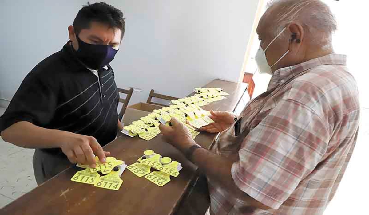 Señalan que las complicaciones en el trámite favorecen al mercado negro de aretes. Foto: Carlos Euán.