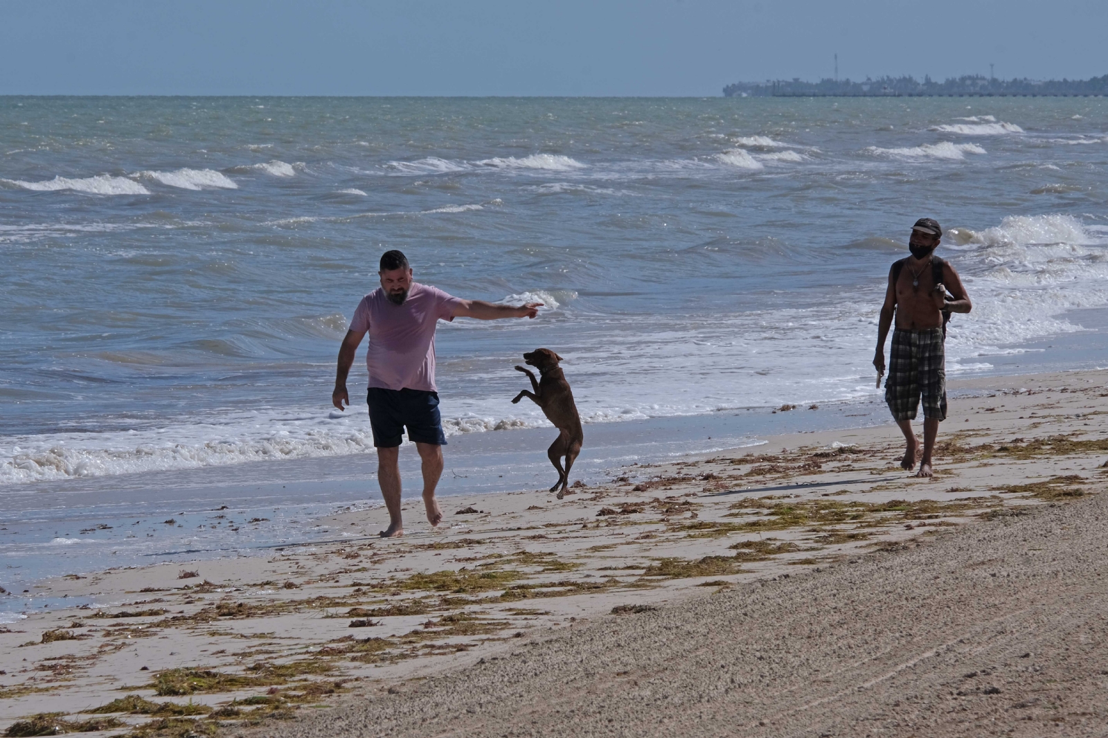 A partir de esta fecha podrás asistir a las playas de Yucatán