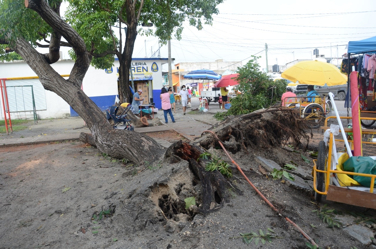 Es un peligro inminente para quienes transitan en esta zona. Foto: Irene Barredas