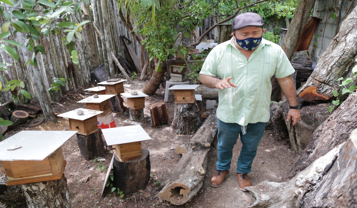 Una iniciativa para la protección y conservación de la
abeja melipona está entre las afectadas. Foto: Erick Marfil.