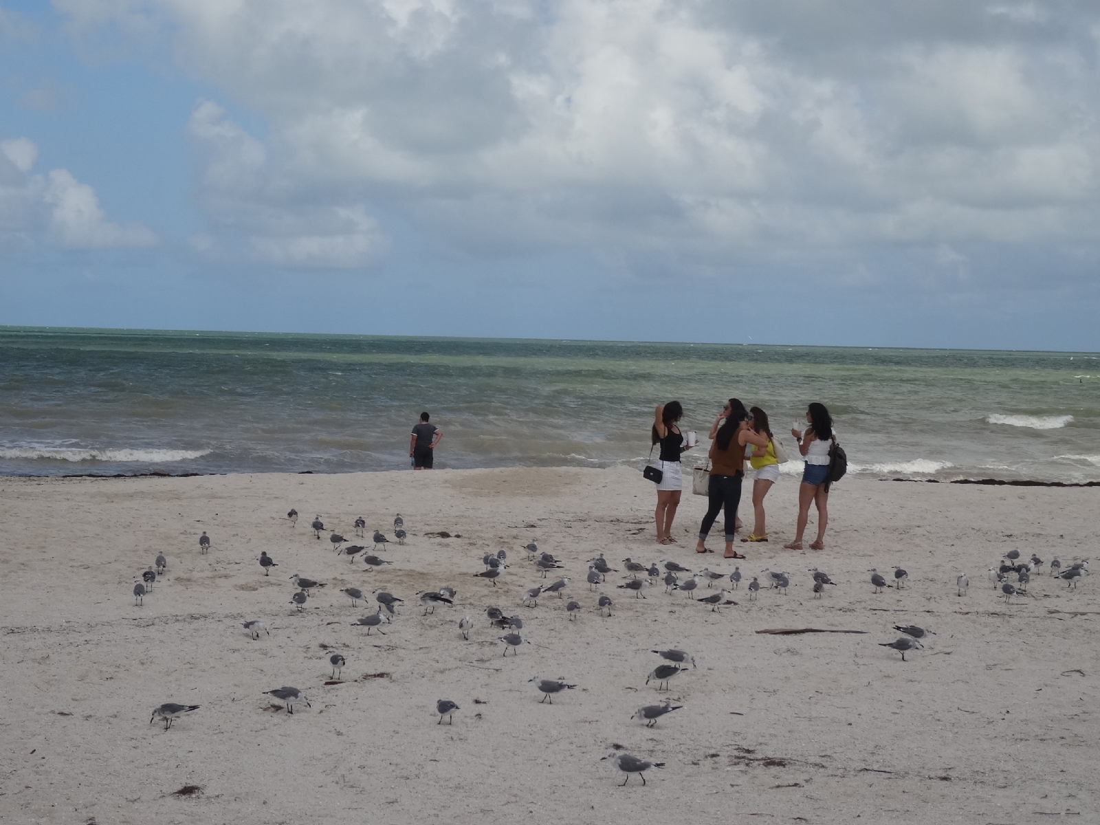 Las playas de Progreso se preparan para su apertura en Noviembre