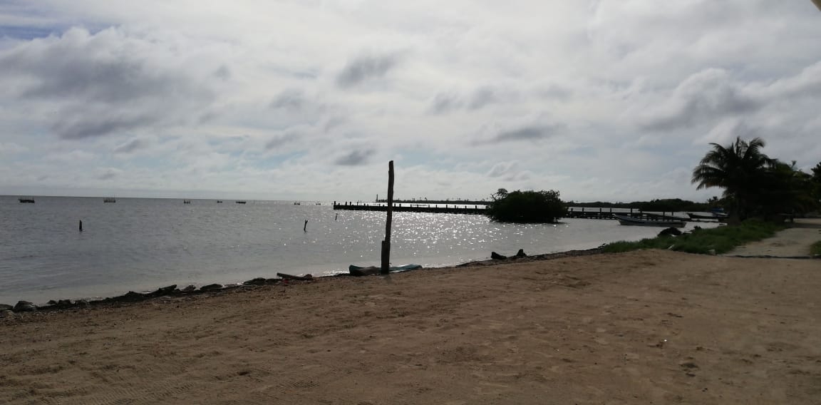 Proteccion Civil monitorea la Tormenta Tropical Zeta en Quintana Roo