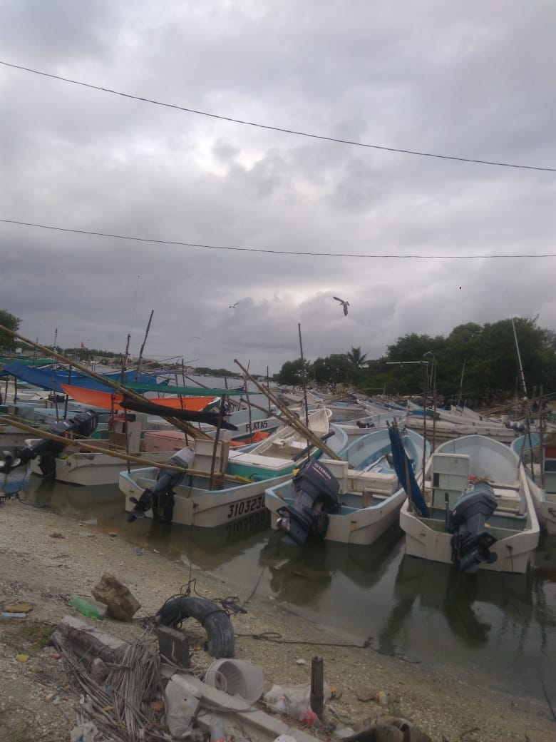 El puerto de altura de progreso está laborando con la descarga de cuatro embarcaciones. Foto: Julio Jiménez Mendoza