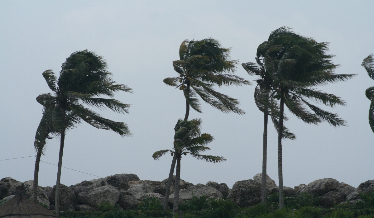 Huracán Zeta se degrada a Tormenta Tropical