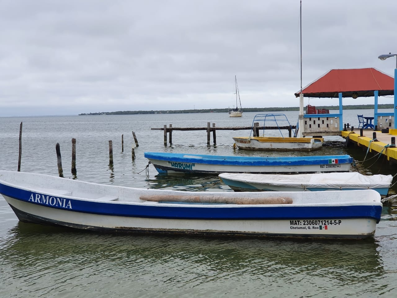 Reabren la navegación en puertos del sur de Quintana Roo