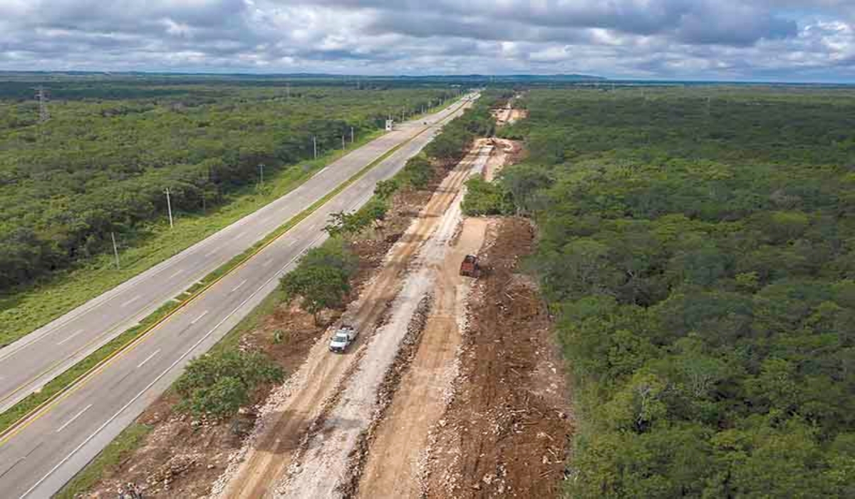 Según académicos el proyecto tiene faltas graves desde la planeación, así como en el proceso mismo. Foto: Luis Pérez.